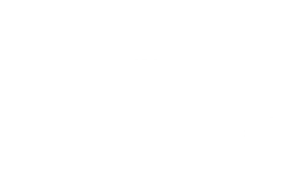CleanCRMs